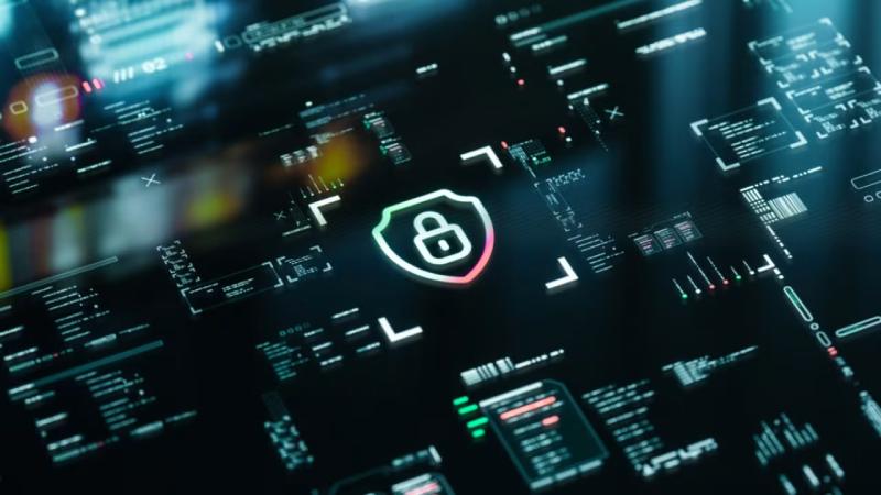 怀化软件开发公司